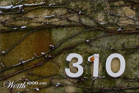 Photography by corgijump