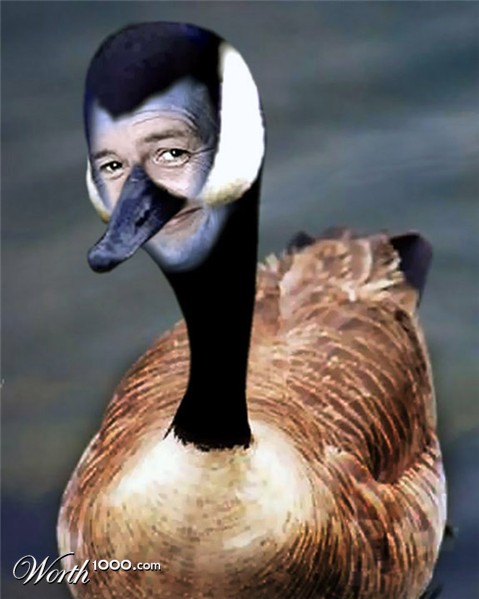 Photoshop Design by jhwdesigns