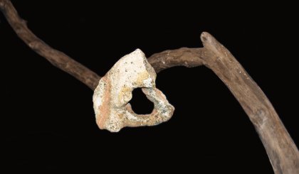 Fotografie von chrcha26 für DesignCrowd (Community Contests) | Design #8997030