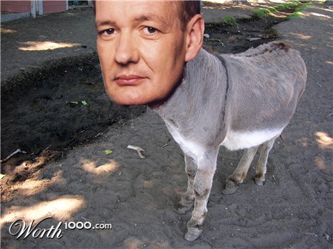 Photoshop Design by error5001