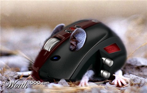 Photoshop Design by AlastairI