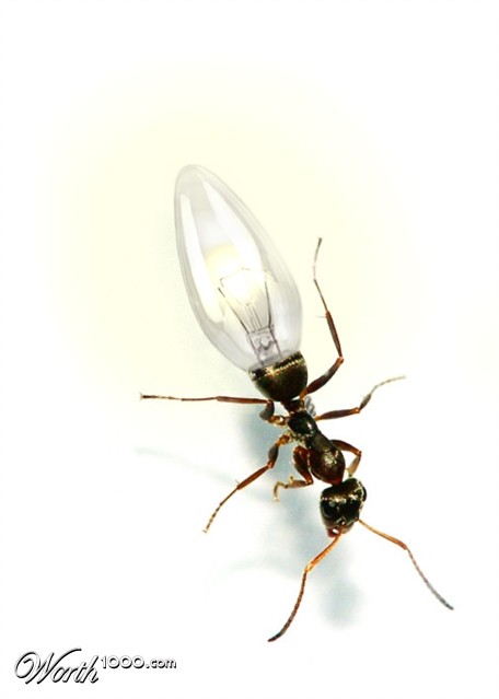 Photoshop Design by elbebeach