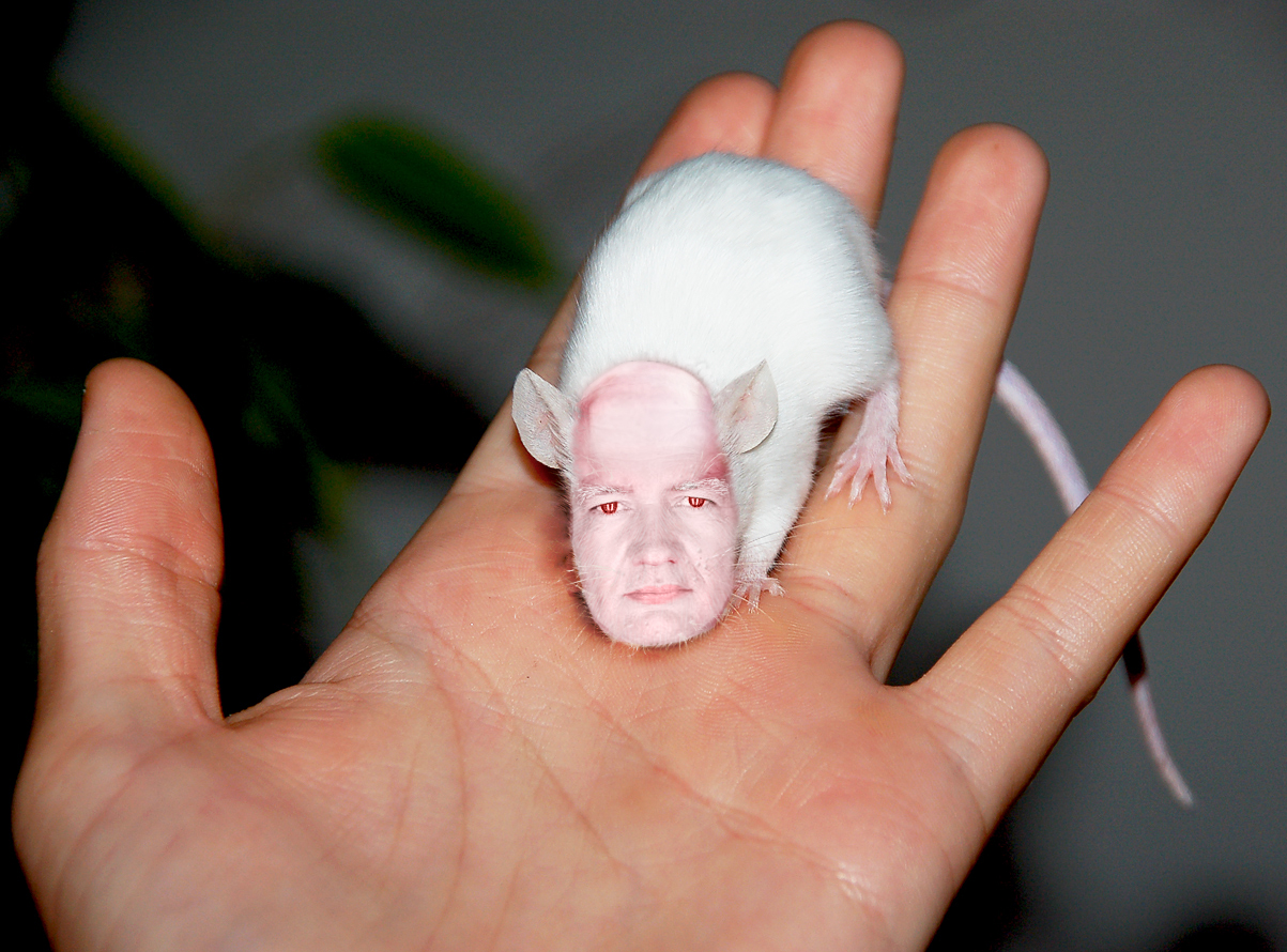 Photoshop-Design von merrypranxter für DesignCrowd (Community Contests) | Design #8991541