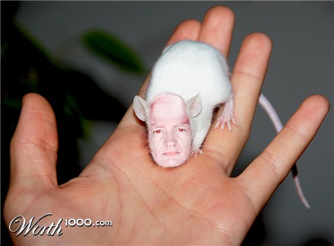 Photoshop Design by merrypranxter