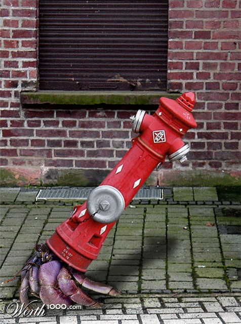 Photoshop Design by RedLily