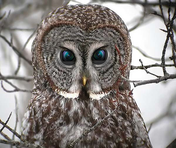 Photoshop-Design von tehrev für DesignCrowd (Community Contests) | Design #8992040