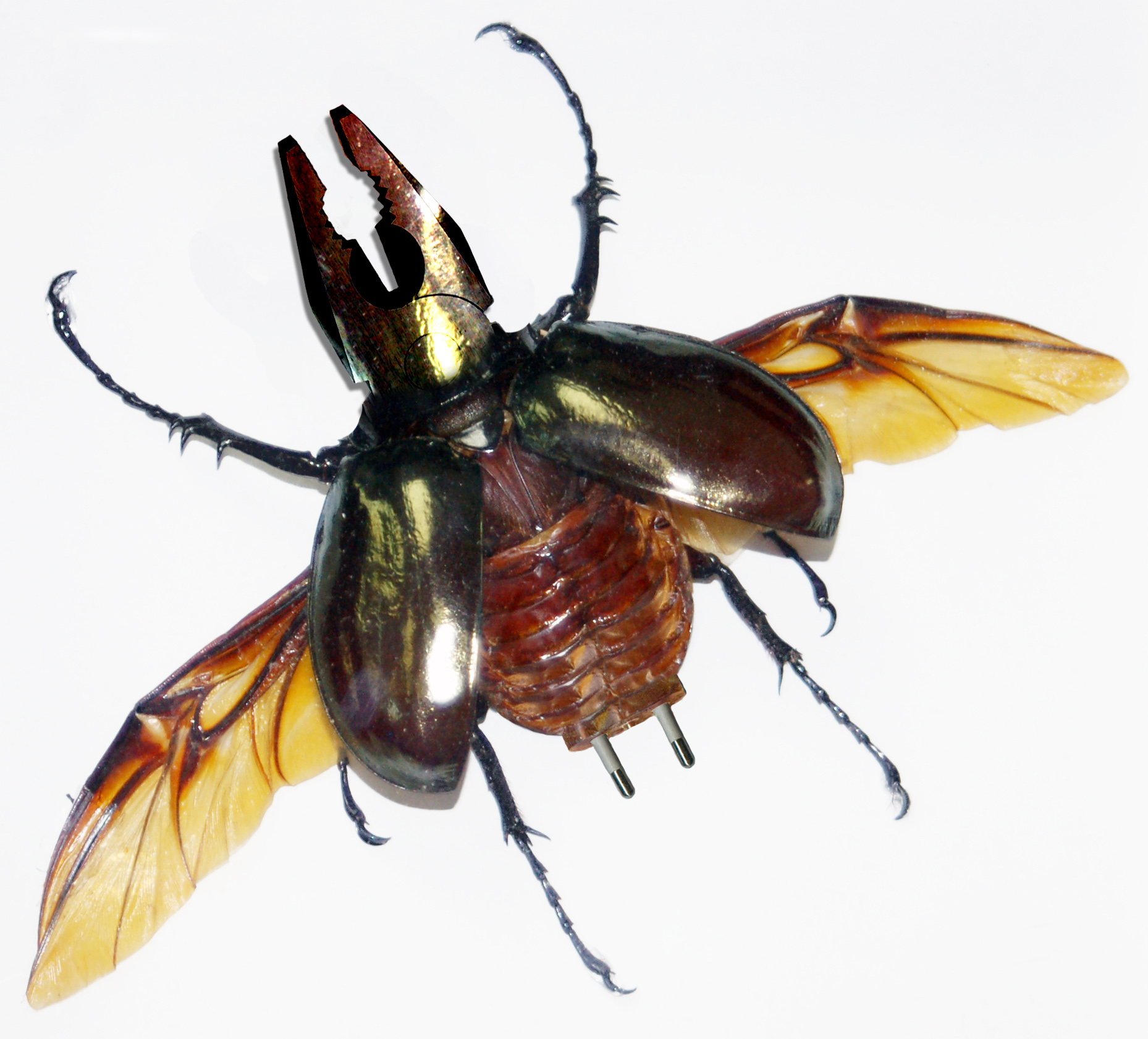 Design Photoshop par machacasaurio pour DesignCrowd (Community Contests) | Design #8992022