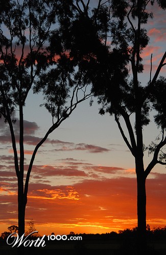 Photography by Shazz777