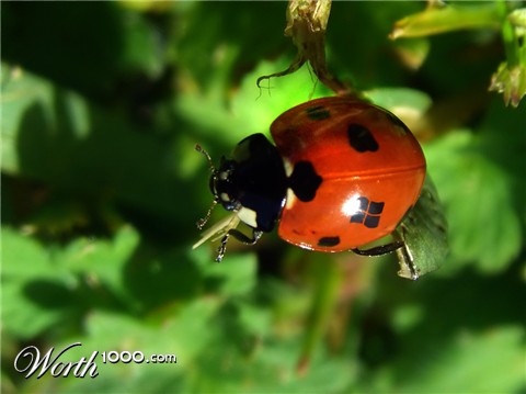 Photoshop Design by bruttoceffo7