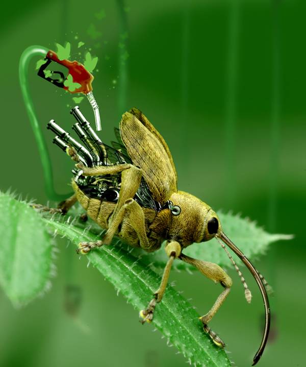 Photoshop Design by supermaut for DesignCrowd (Community Contests) | Design #8992044