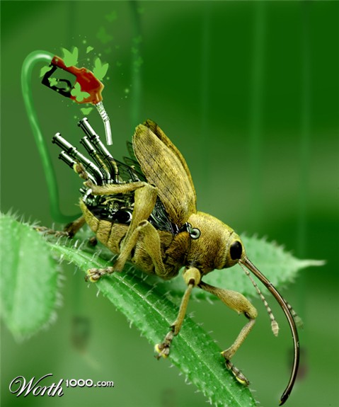 Photoshop Design by supermaut