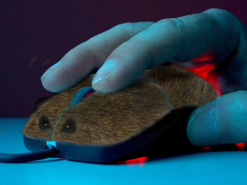 Photoshop-Design von Tinkuuu für DesignCrowd (Community Contests) | Design #8992025