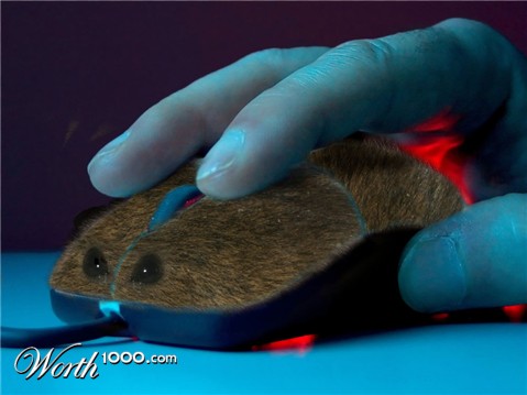 Photoshop Design by Tinkuuu