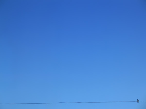 Fotografía por bilirubin para DesignCrowd (Community Contests) | Diseño #8996172