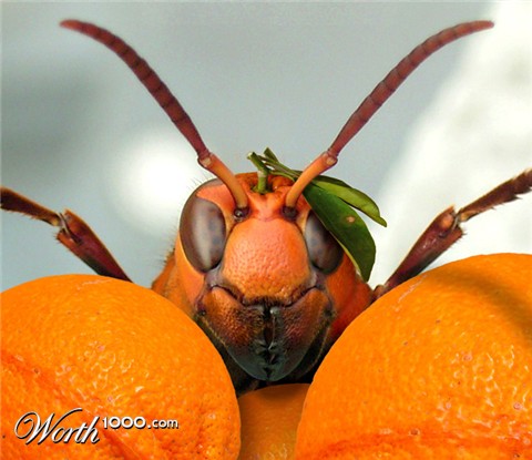 Photoshop Design by mzpresto