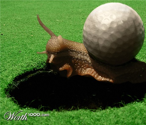 Photoshop Design by mjhaylor