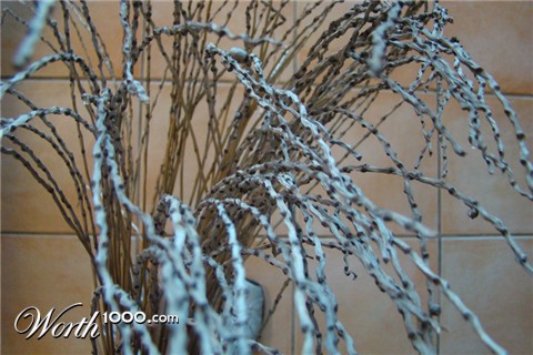 Photography by SallySmyth