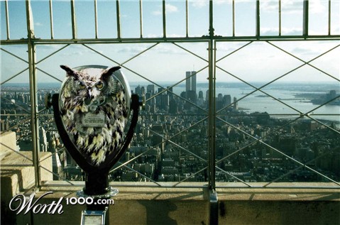 Photoshop Design by diannecayenne