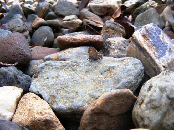 Photography by shoz95 for DesignCrowd (Community Contests) | Design #8996195