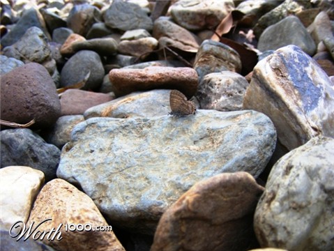 Photography by shoz95