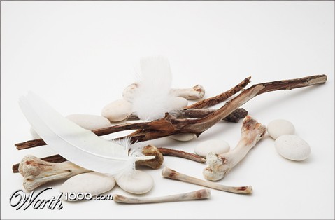 Photography by kimbomac