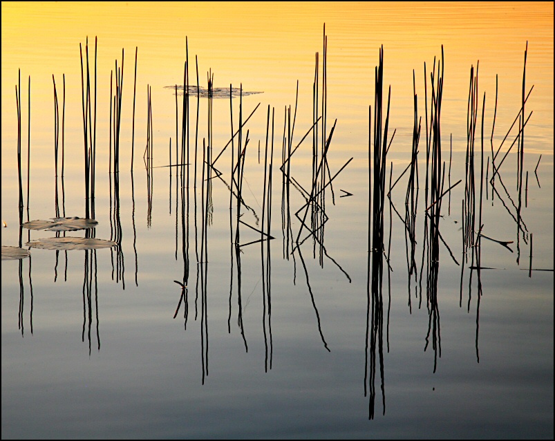 Photography by Juicer for DesignCrowd (Community Contests) | Design #8997032