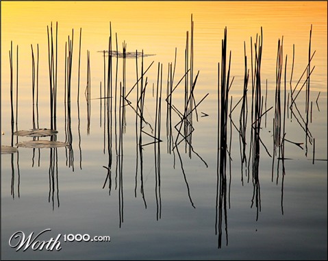 Photography by Juicer