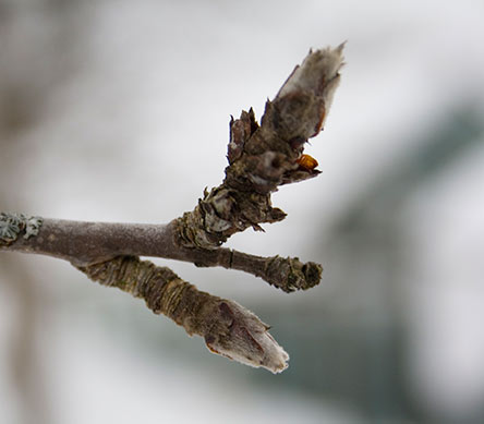 Fotografie von ALEXXXNF für DesignCrowd (Community Contests) | Design #8997084