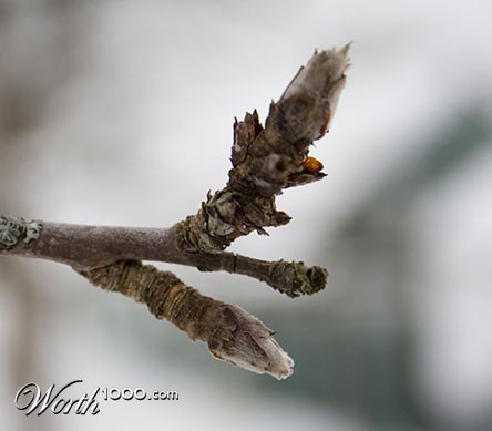 Photography by ALEXXXNF