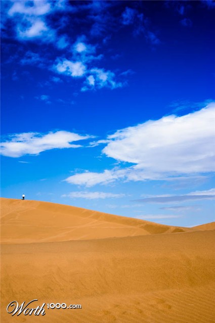 Photography by chriscb