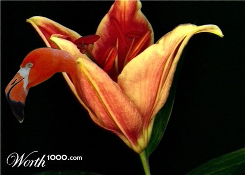 Photoshop Design by raginiroshni