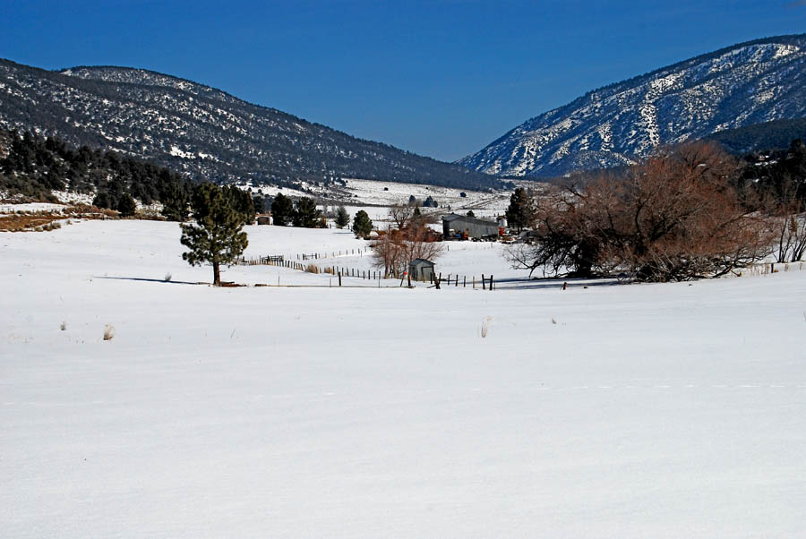 Photography by ClickChick for DesignCrowd (Community Contests) | Design #8996191