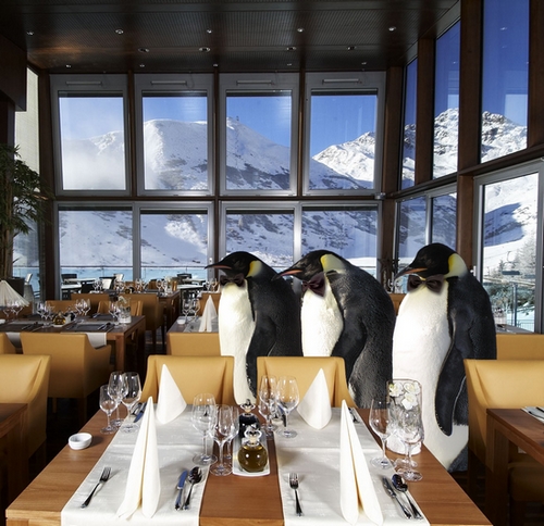 Photoshop Design by elbebeach for DesignCrowd (Community Contests) | Design #8985599