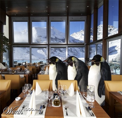 Photoshop Design by elbebeach