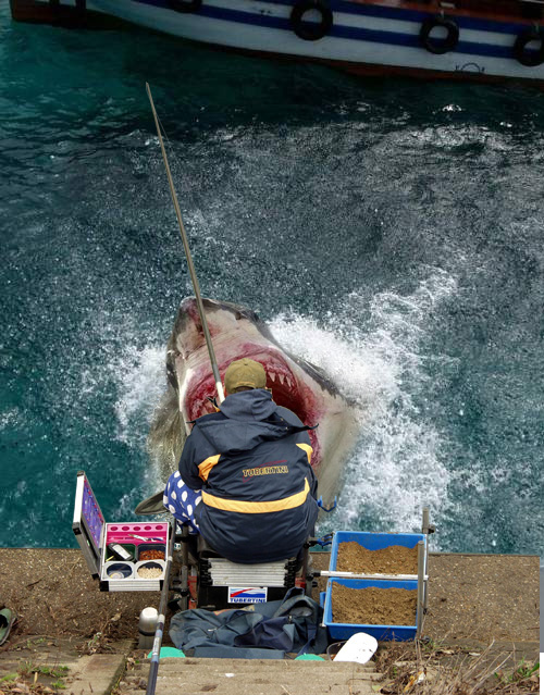 Photoshop Design by pamino for DesignCrowd (Community Contests) | Design #8992415