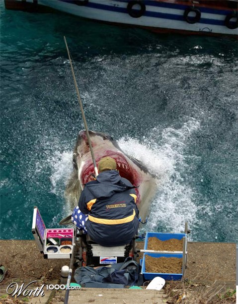 Photoshop Design by pamino