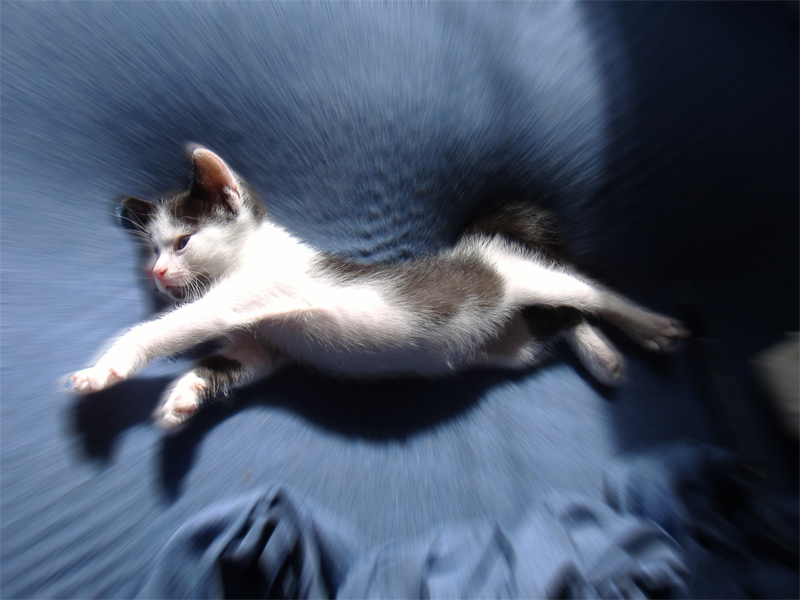 Photoshop Design by Eftekhar for DesignCrowd (Community Contests) | Design #8986951