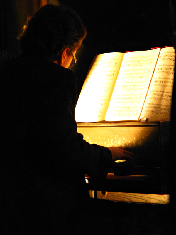 Photography by TheGreatDestroyer for DesignCrowd (Community Contests) | Design #8994490