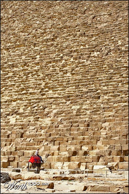 Photography by Jesusito