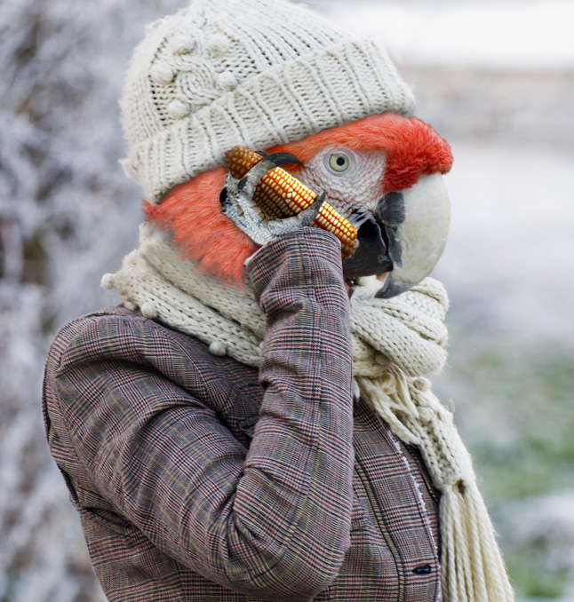 Photoshop Design by Sankrah for DesignCrowd (Community Contests) | Design #8985608