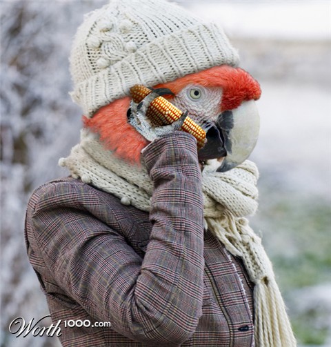 Photoshop Design by Sankrah