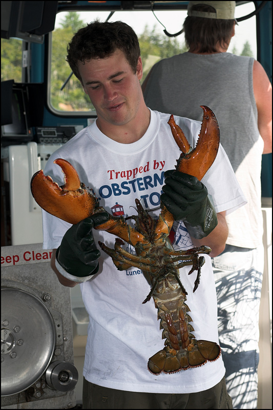 Photography by SigloV for DesignCrowd (Community Contests) | Design #8994495