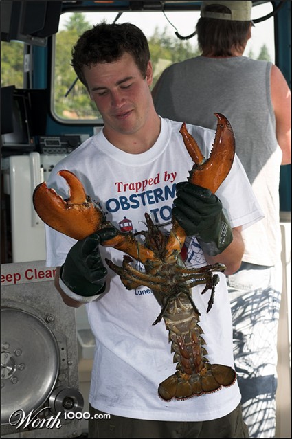 Photography by SigloV