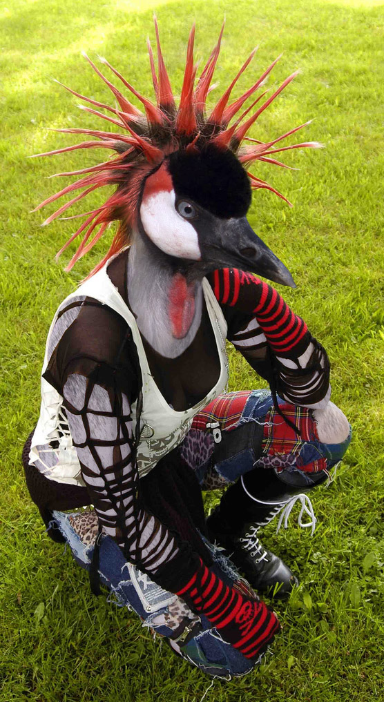 Photoshop Design by mzpresto for DesignCrowd (Community Contests) | Design #8985609