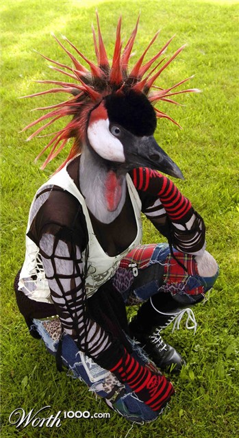 Photoshop Design by mzpresto