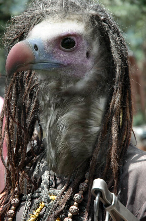 Photoshop Design by Garsaelon for DesignCrowd (Community Contests) | Design #8985615