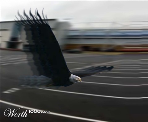 Photoshop Design by Chimmi