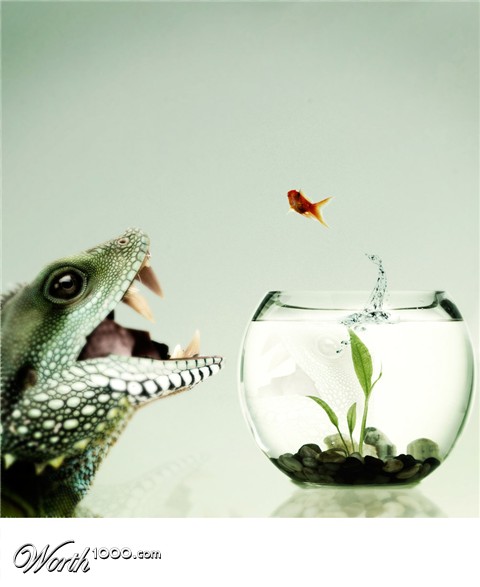 Photoshop Design by Blakko
