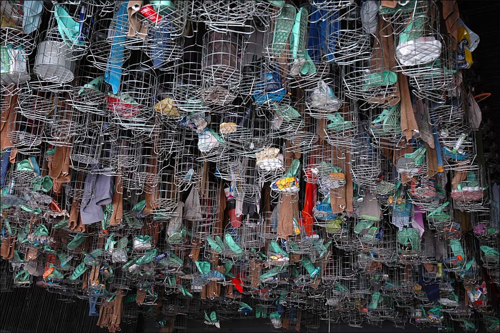 Fotografía por doctorD para DesignCrowd (Community Contests) | Diseño #8994507