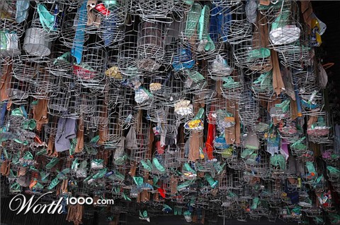 Photography by doctorD